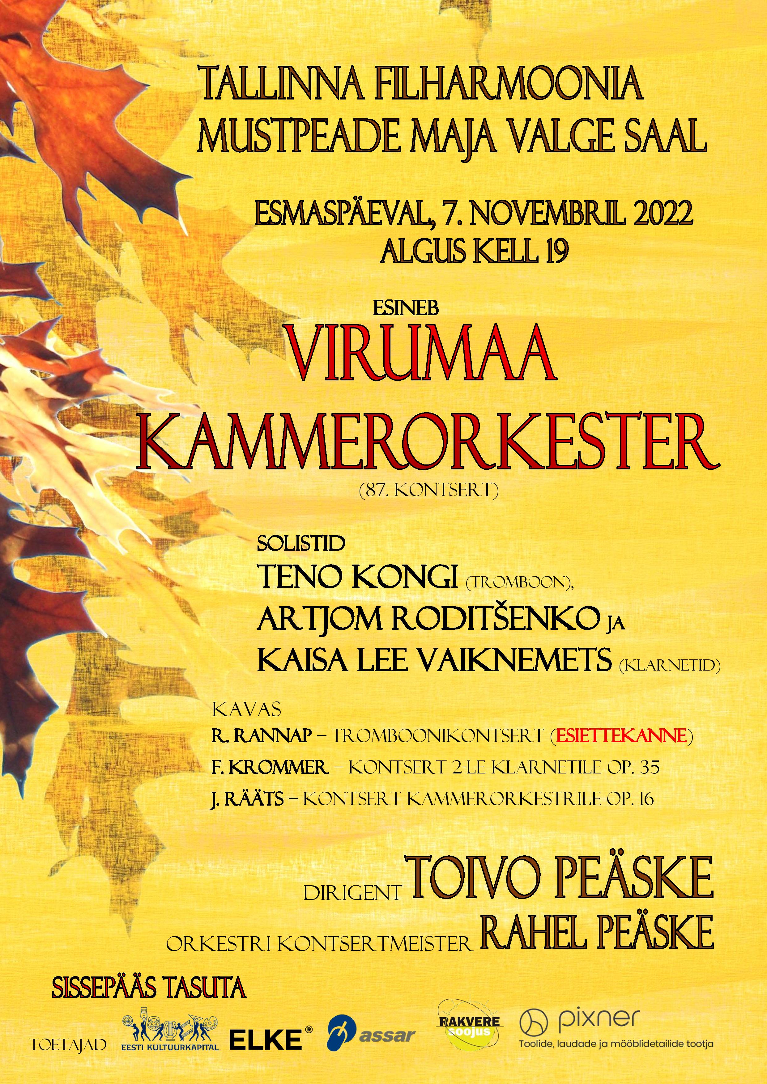Virumaa Kammerorkestri kontsert